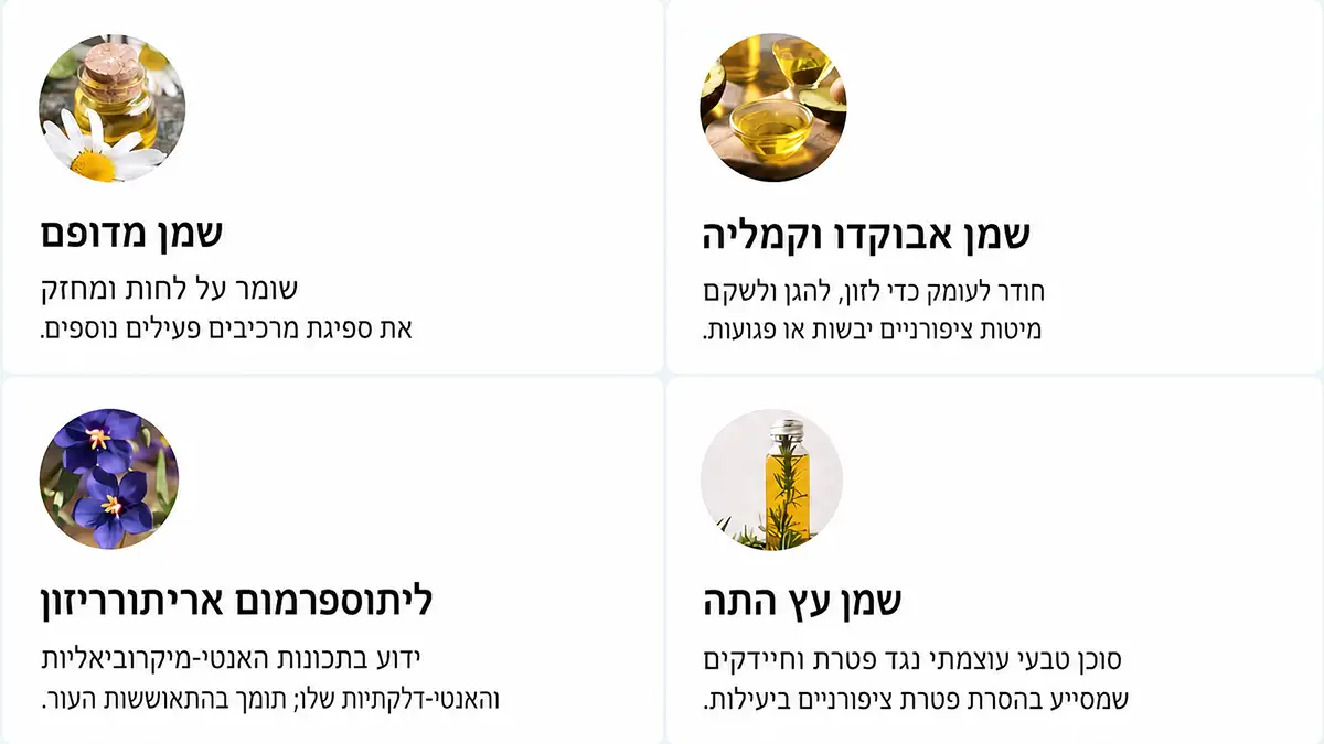 Orivelle מרכיבים צמחיים